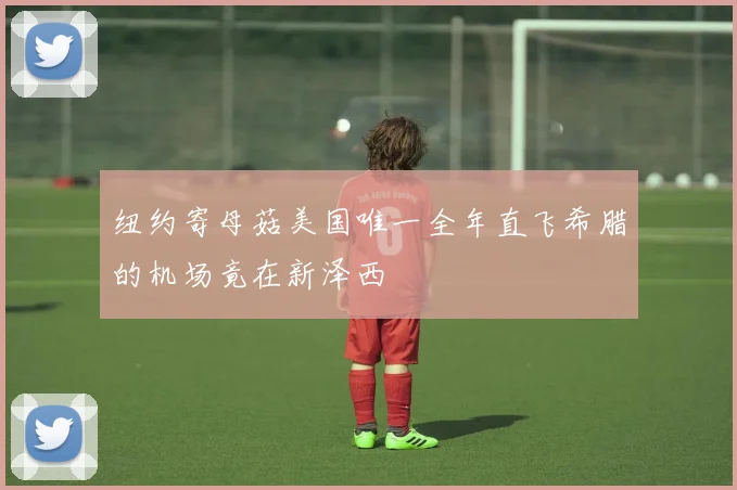 纽约寄母菇美国唯一全年直飞希腊的机场竟在新泽西