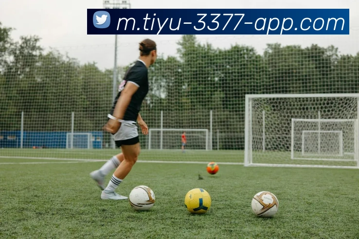 3377体育APP 高清赛事图